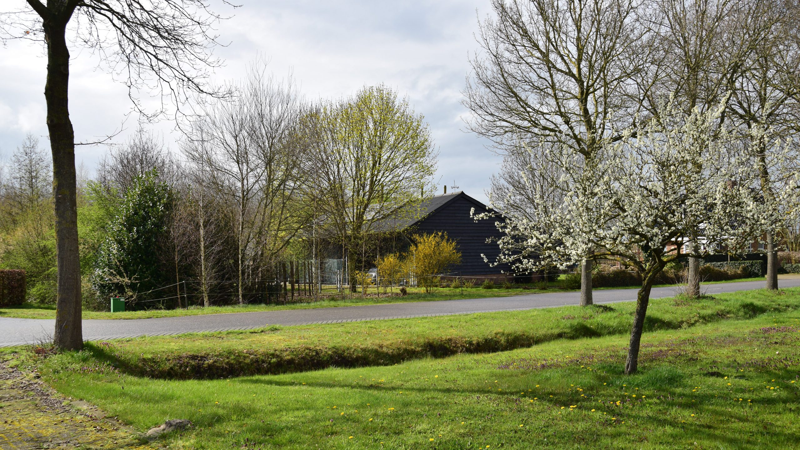 camperstalling in het groen